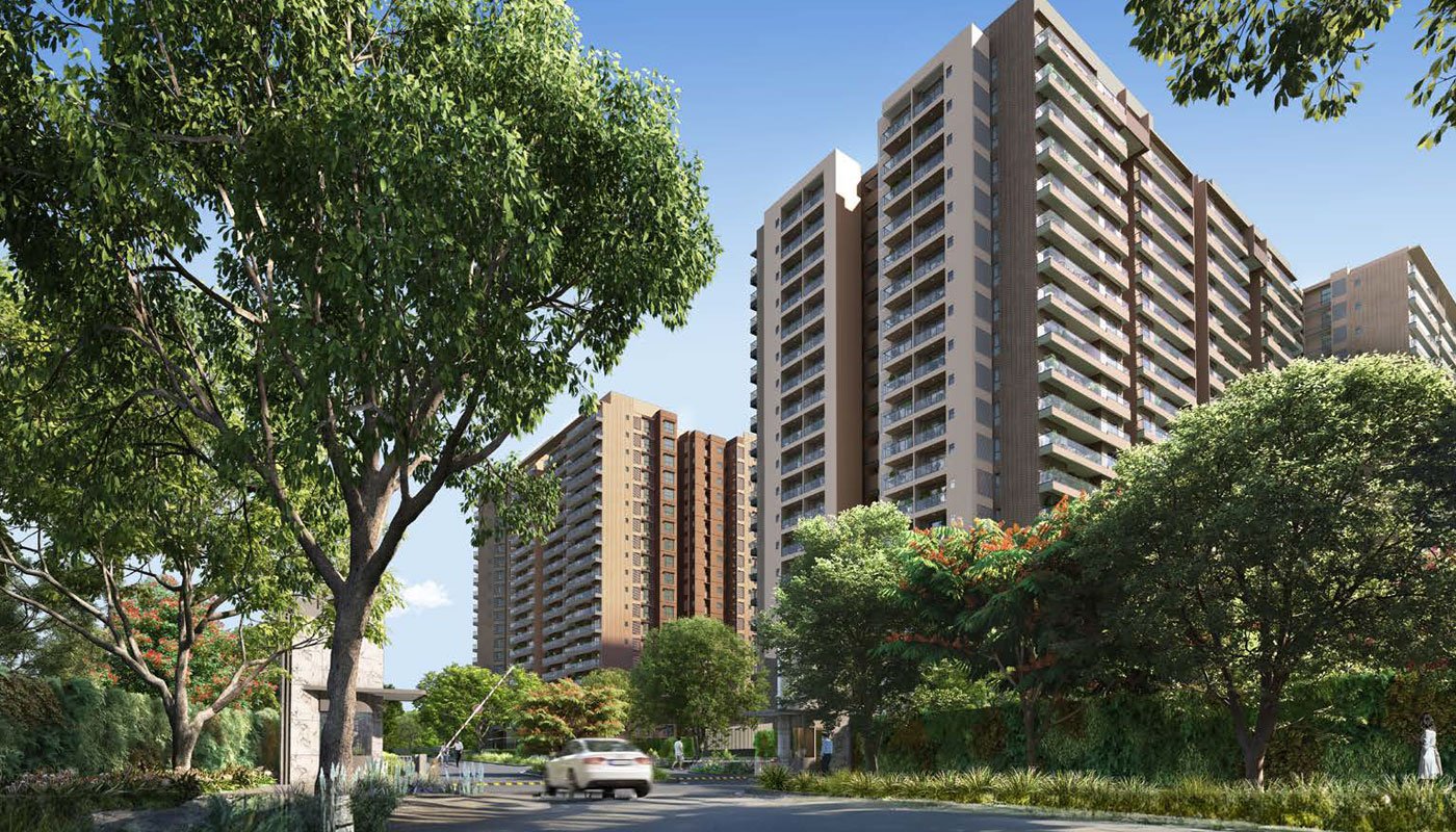 Prestige Evergreen Image 2