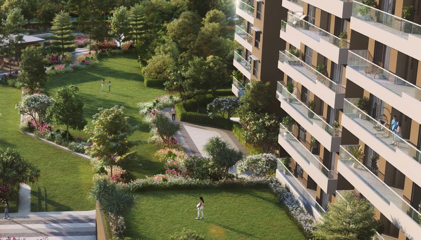 Prestige Evergreen Image 3